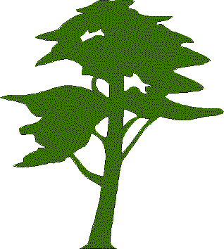 Plantes