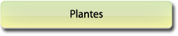 Plantes