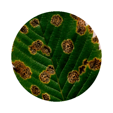 1_image7.gif