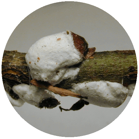 3_image6.gif